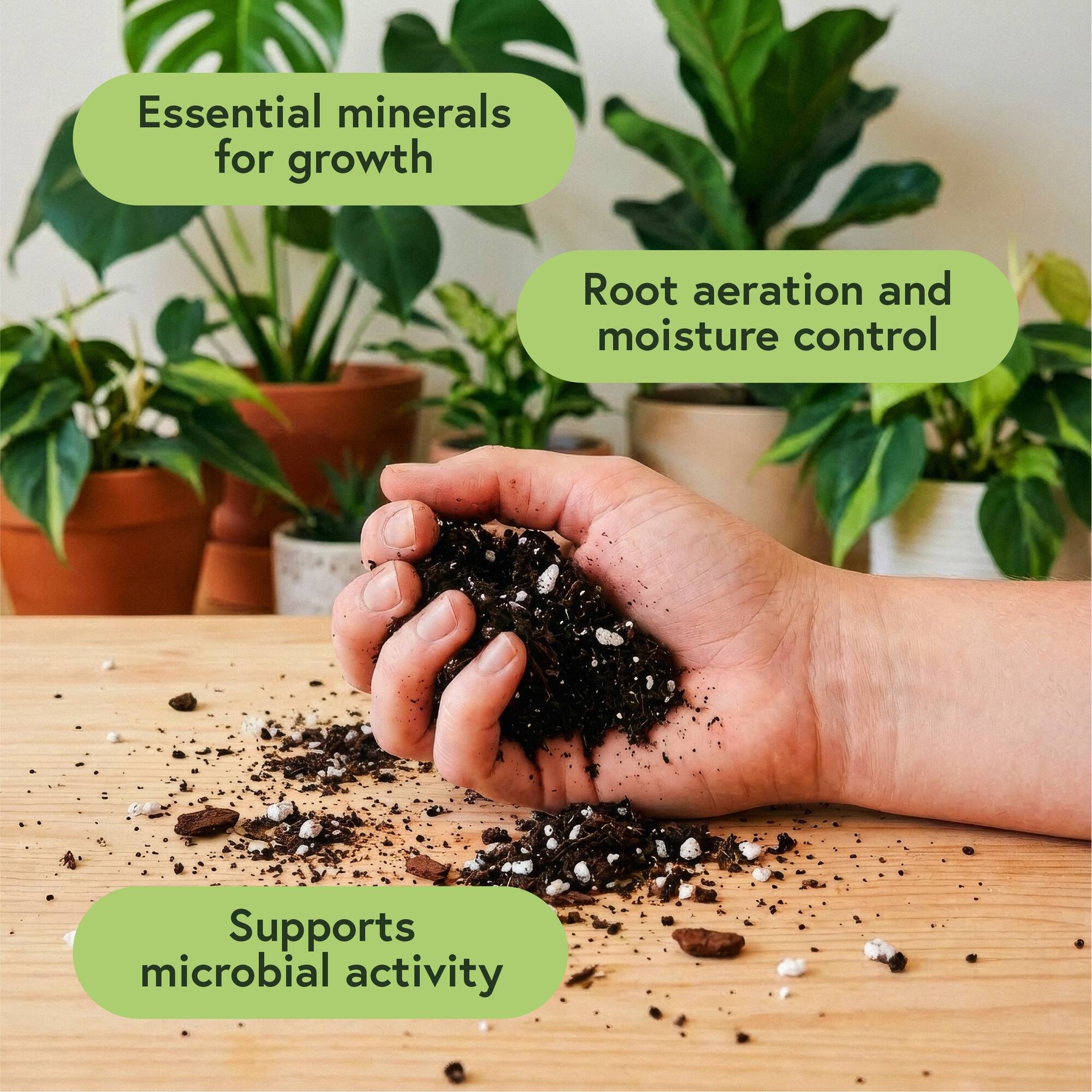 We The Wild™ 6qt. Just Great Soil Premium Organic Gnat-Resistant Potting Mix for Houseplants